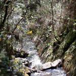 Un riachuelo de una captación de agua en pleno Urdaibai, la falta de precipitaciones que el verano pasado redujo el caudal de ríos y arroyos en Urdaibai y obligó a tomar la medida excepcional de transportar agua potable en barco para asegurar el abastecimiento podría repetirse el próximo tiempo de estío en esta zona vizcaína, que acoge la única Reserva de la Biosfera de Euskadi. EFE/Luis Tejido
