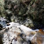 Cauce del arroyo Mape de Busturia, en Bizkaia. El agua es un bien preciado y valorado en una zona con déficit de este recurso como es la vizcaína de la Reserva de la biosfera de Urdaibai, en cuyos ríos y arroyos inicia el viaje hasta llegar al caserío más alejado del lugar y salir potable del grifo, previa parada obligatoria para su tratamiento. EFE/Luis Tejido