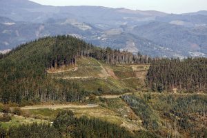 URDABAI (BIZKAIA), 08/12/2023.-Diferentes "aulas" forestales en pleno bosque de Urdabai. El centro de investigación y desarrollo agroalimentario y ganadero Neiker trabaja en el establecimiento de un "aula" forestal o marteloscopio dentro del bosque en Urdaibai, en Bizkaia, concebido como una herramienta pedagógica para profesionales y estudiantes. Los llamados marteloscopios son sitios demostrativos ubicados en una parcela permanente dentro del bosque, en la que se hacen mediciones en los árboles que se vinculan a un software, a través del cual el visitante puede comprobar in situ los impactos sobre la biodiversidad de las distintas opciones de gestión y corta. EFE/Luis Tejido