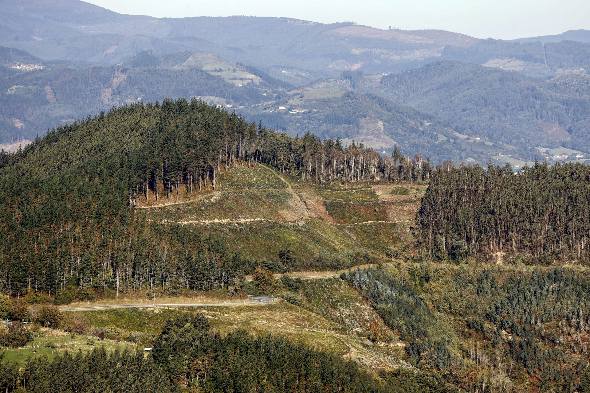 URDABAI (BIZKAIA), 08/12/2023.-Diferentes "aulas" forestales en pleno bosque de Urdabai. El centro de investigación y desarrollo agroalimentario y ganadero Neiker trabaja en el establecimiento de un "aula" forestal o marteloscopio dentro del bosque en Urdaibai, en Bizkaia, concebido como una herramienta pedagógica para profesionales y estudiantes. Los llamados marteloscopios son sitios demostrativos ubicados en una parcela permanente dentro del bosque, en la que se hacen mediciones en los árboles que se vinculan a un software, a través del cual el visitante puede comprobar in situ los impactos sobre la biodiversidad de las distintas opciones de gestión y corta. EFE/Luis Tejido